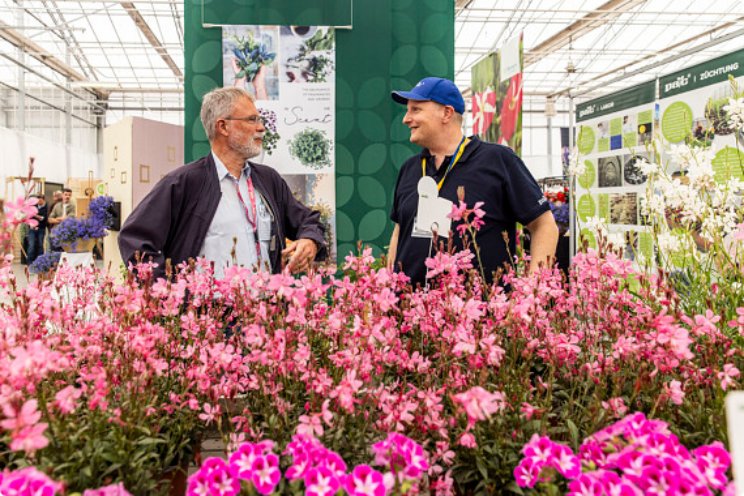 FlowerTrials behoudt sterke en stabiele positie