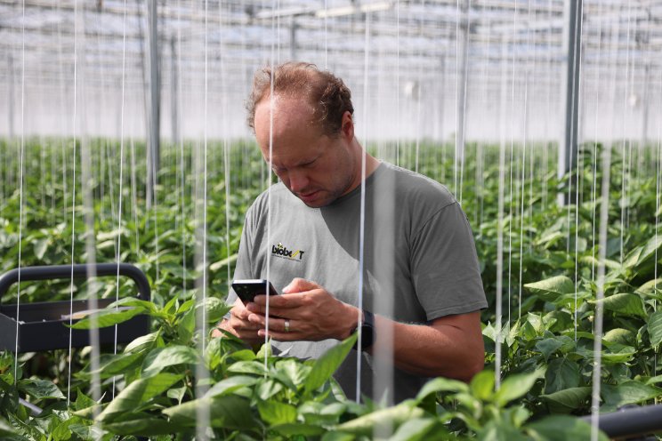 Crop-Scanner digitaliseert IPM-werkwijze