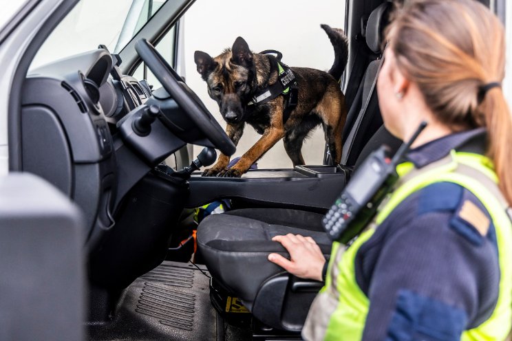 Controles tegen criminele inmenging sierteelt