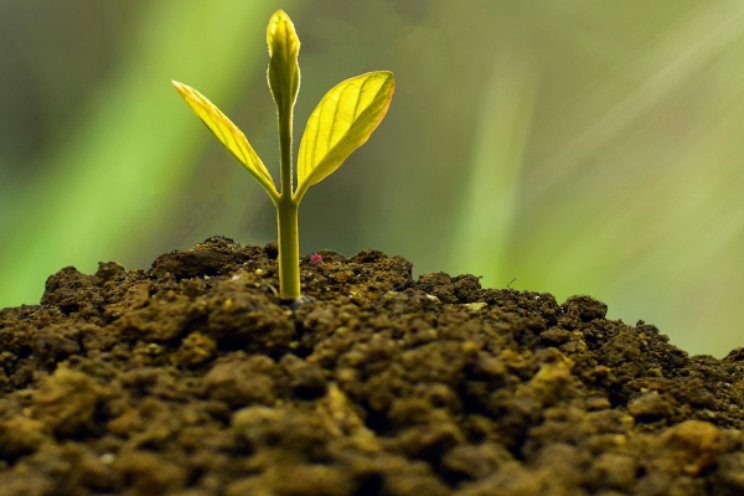 Jaarplan glastuinbouw: Plantgezondheid