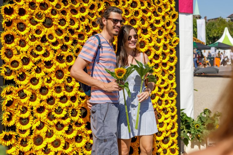 Takii luidt zomer weer in met zonnebloemenactie