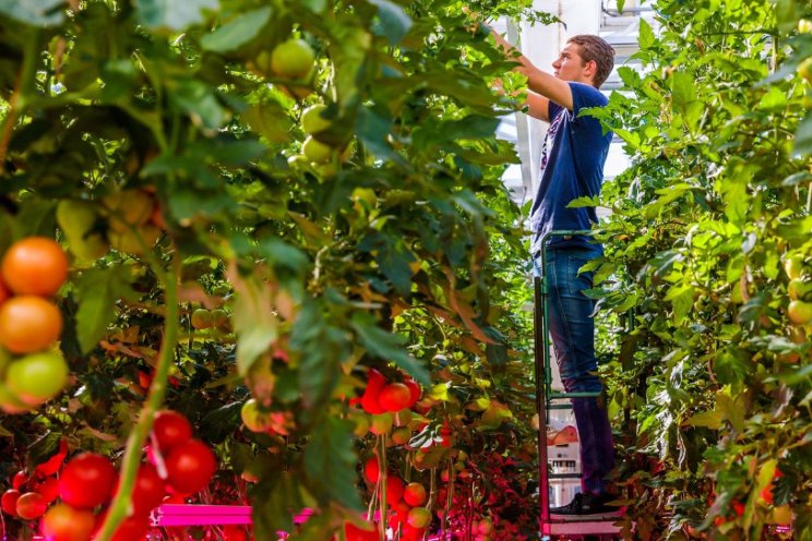 CoE Groen mag door met praktijkgericht onderzoek