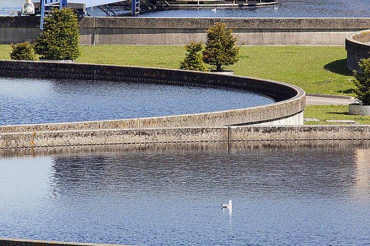 Kwaliteit gietwater uit effluent prima te borgen