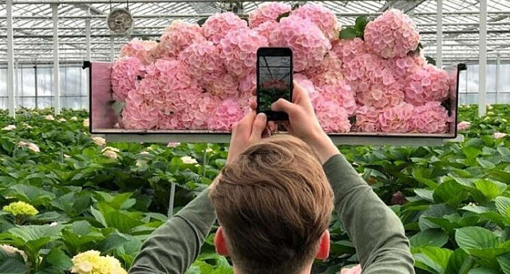 Betere aanvoerinformatie must digitale marktplaats