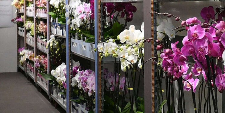 Opti-flor bezoekt klanten met kleurrijke roadshow