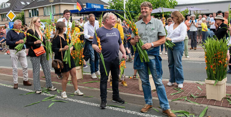 Nieuwe verkooporganisatie voor gladiolen opgericht