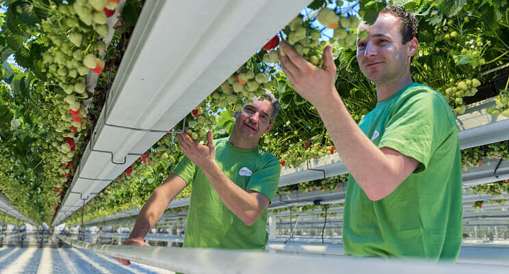 Kwekerij Loos stap voor stap naar full LED