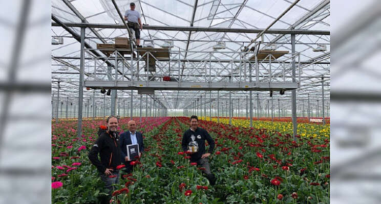 Insectenfilter voor Florein Gerbera's