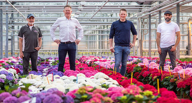 HiBreeding nieuwe deelnemer FlowerTrials