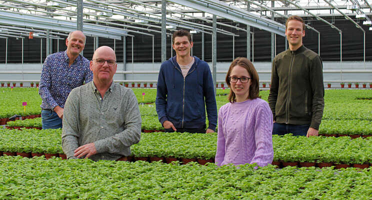 Nieuwe ontwikkelingen bij Gebr. Nederpel Potplanten