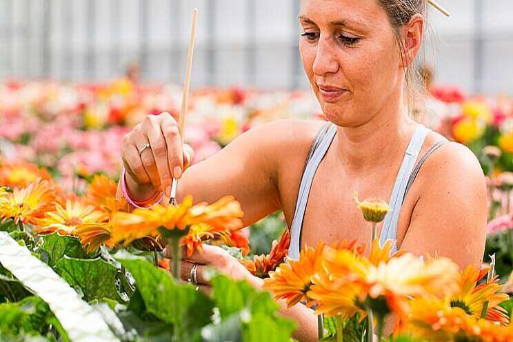 Plantenrassen blijken langer beschermd