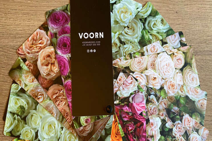 VOORN Spray Roses lanceert productwaaier