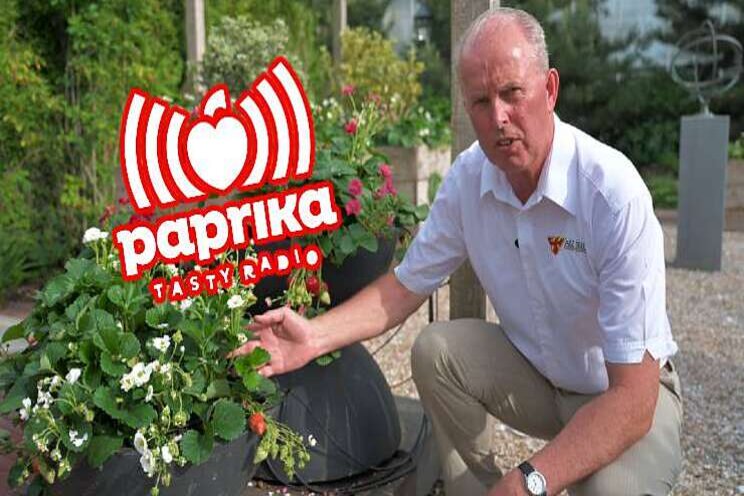 ABZ Seeds maandag op Paprika Tasty Radio