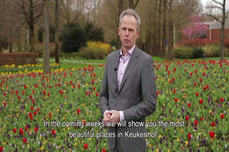 Keukenhof blijft dicht, maar gaat wel virtueel open