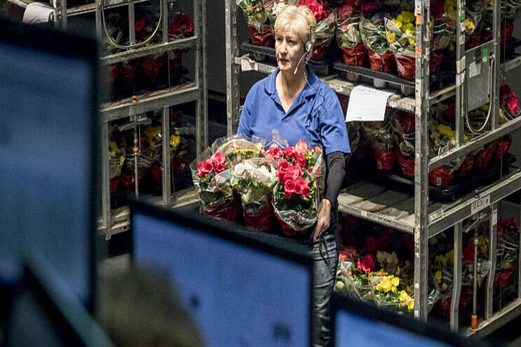 Handhaving Plantenpaspoort vanaf potmaat 10 opgeschort