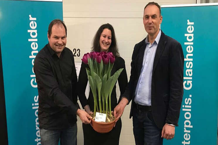 Prijs voor tulp Roeska