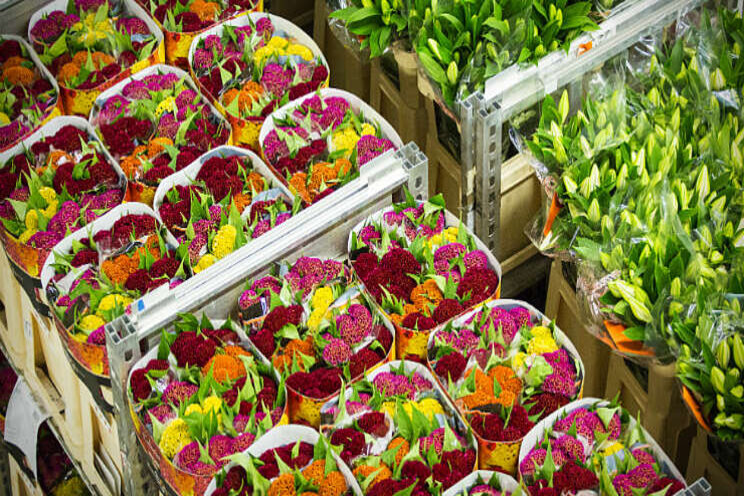 FloraHolland kiest groene stroom en zonnepanelen